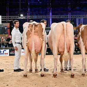 Bij roodbont verschenen zeven groepen in de ring. Pinkert won de titel. De eerste twee koeien waren zeer groot en leken als twee druppels water op elkaar. Ze werden gevolgd door de vaarzenkampioene die een maatje kleiner was, maar dat compenseerde met haa