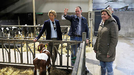 V.l.n.r.: Nannie ten Kate, Tom ten Kate, gedeputeerde Henk Jumelet en minister Christianne van der Wal in de jongveestal.