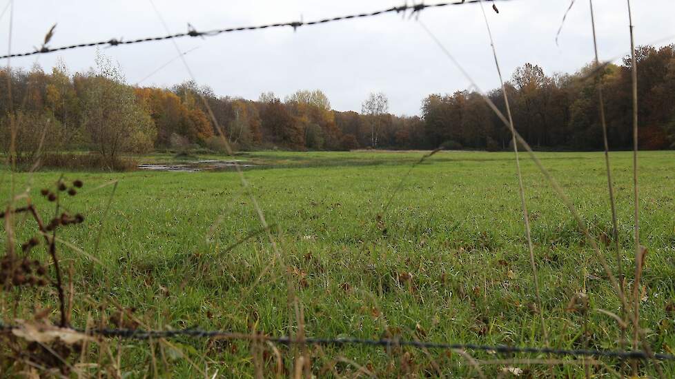 Een willekeurig Natura 2000-gebied in Overijssel.