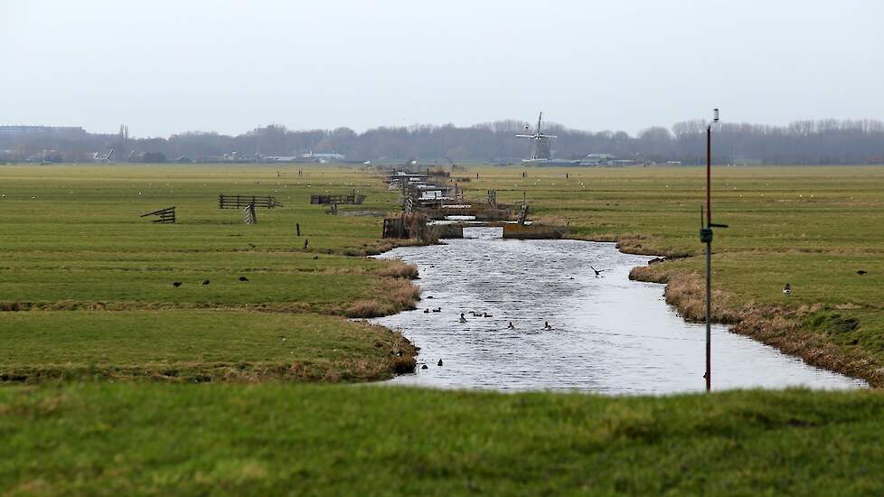 Het gebied rond de Nieuwkoopse Plassen