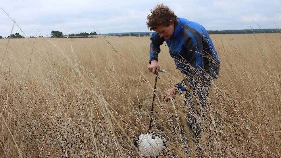 Thijmen Schouten van Eurofins neemt een bodemmonster op het heideperceel van Staatsbosbeheer waar geen begrazing plaatsvindt.