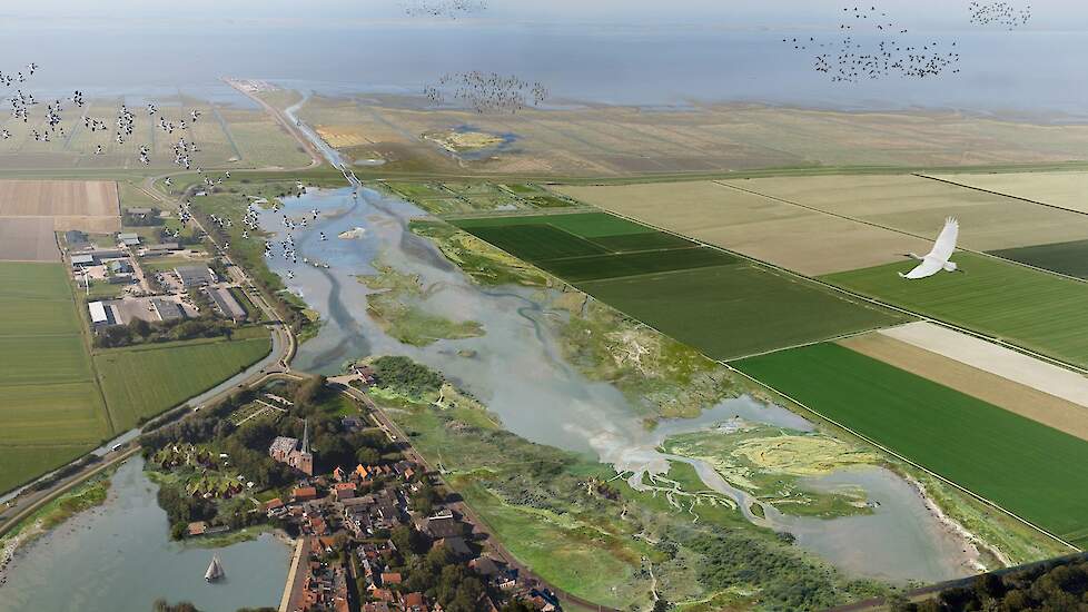 Provinciale Staten Friesland willen door met Holwerd aan Zee