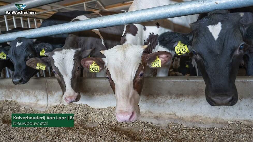 Kalverhouders Van Laar in Barneveld zijn na nieuwbouw gesloten bedrijf