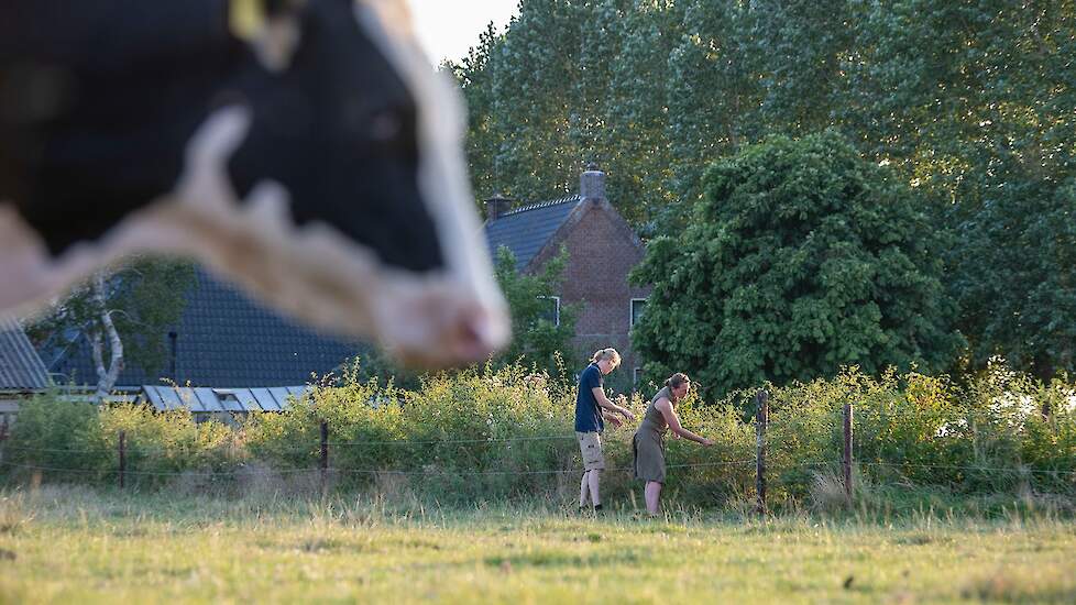 Initiatiefnemer van het project boer Jan Woudstra en zijn vrouw Johanneke, die in Menaam al een voederhaag hebben aangeplant.