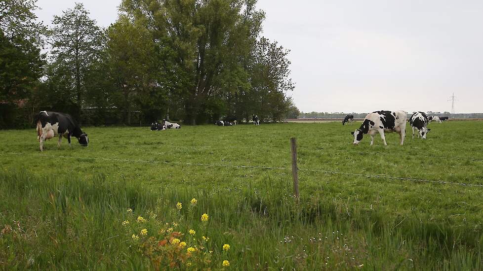 Een willenkeurig boerenbedrijf in de provincie Flevoland.