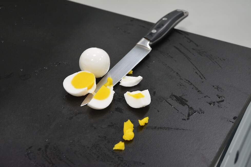 100 procent plantaardige eieren. Deze zijn nog niet te koop, maar het is technisch mogelijk om deze te produceren. Gerard ten Bolscher, Avebe: „We proberen zo dicht mogelijk bij de structuur van een dierlijk ei te komen."
