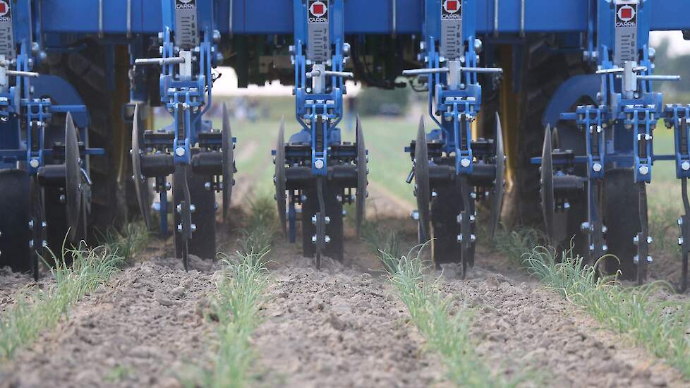 Schoffelen is de aangewezen manier om grotere onkruiden op te ruimen. Houdt een vaste diepte aan, adviseert Den Herder. Wat betreft wortelschade is schoffelen gevaarlijker dan eggen. „Dankzij GPS en camera’s kunnen we steeds dichter langs de rijtjes, maar