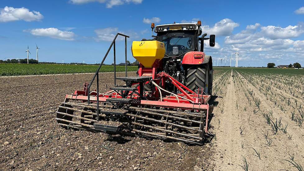 Harry Schreuder ziet 2,5 hectare uien verloren gaan.