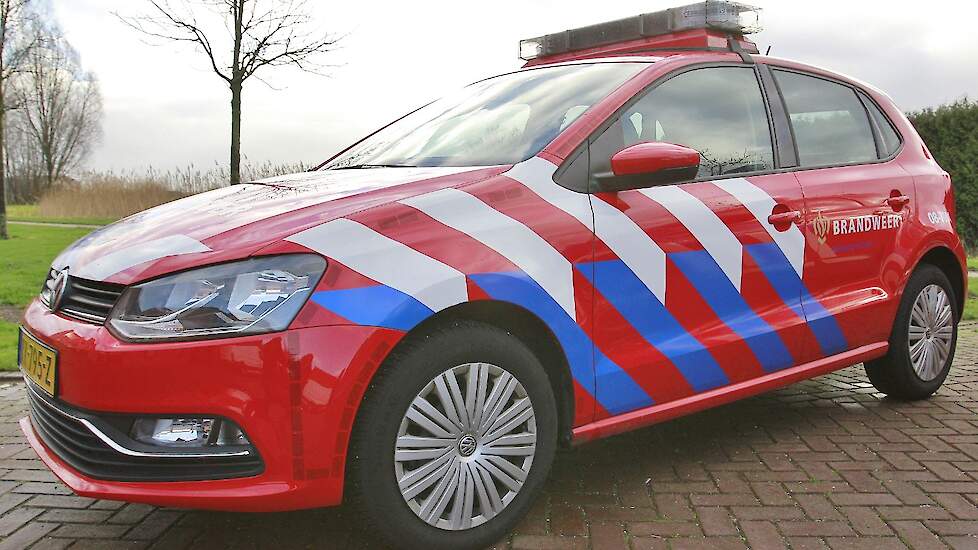 Zes koeien dood na mixen mest in Langweer