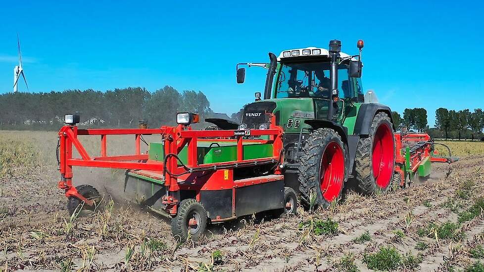 2023. Rode uien rooien van start met Holaras. Bakker Bierum in Bierum.