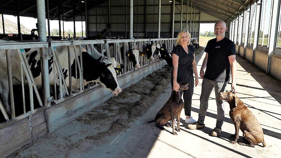 Gemengd bedrijf uit het Drentse Veeningen is genomineerd voor de titel Sterkste Erf 2023