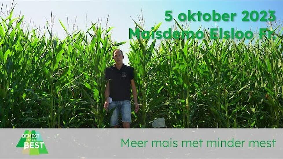 Maisdemo oktober 2023 promo