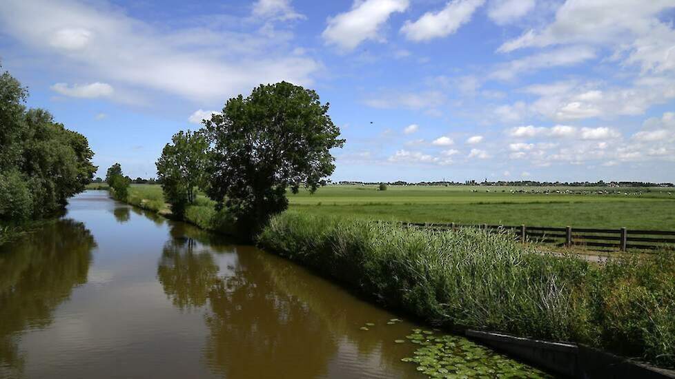 Beeld ter illustratie.