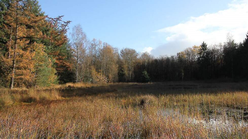 Stheemanstraat belangrijk voor ontsluiting landbouwpercelen