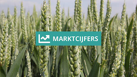 Marktijcers Akkerbouw
