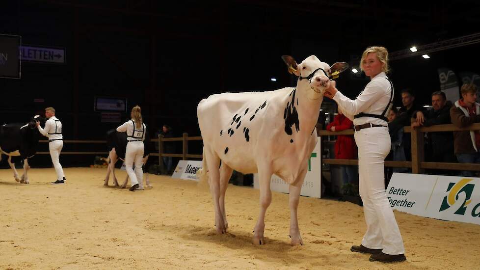 Jo-Anne legde uiteindelijk beslag op de eerste plaats bij het showmanship.