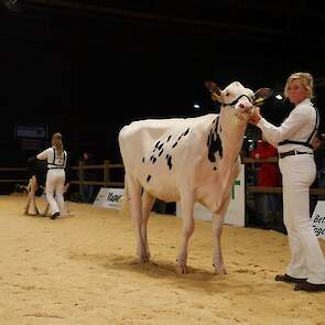 Jo-Anne legde uiteindelijk beslag op de eerste plaats bij het showmanship.