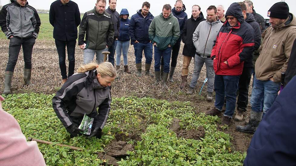 Anna Zwijnenburg beoordeelt een groenbemestermengsel.