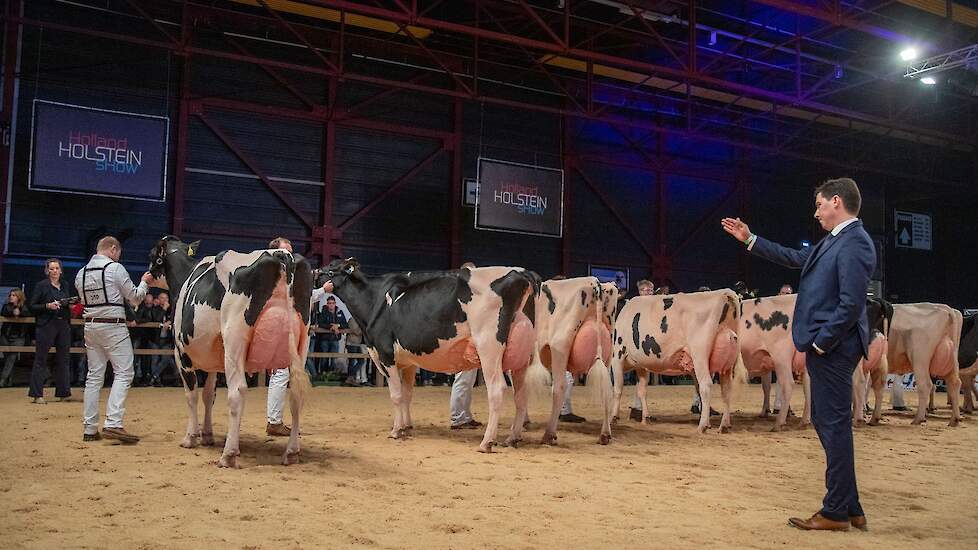 De rest van de rubriek volgde op gepaste afstand. Op de tweede plaats Bons-Holsteins Roza 77 van Bons, een grote, diep geribde Sidekick-dochter met een vast, ondiep uier. De grote, lange Hbc Pledge, een goed geuierde Devour-dochter van Schep, bezette de d