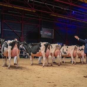 De rest van de rubriek volgde op gepaste afstand. Op de tweede plaats Bons-Holsteins Roza 77 van Bons, een grote, diep geribde Sidekick-dochter met een vast, ondiep uier. De grote, lange Hbc Pledge, een goed geuierde Devour-dochter van Schep, bezette de d