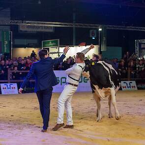 Heerenbrink Angelina werd aangewezen als kampioene van de middenklasse.