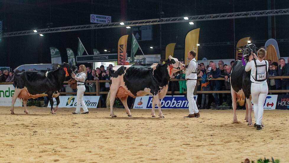 Nico Bons volgde op de tweede plek met Bons-Holsteins Roza 76. De grote Dempsey-dochter heeft een mooi type en een goed uier waaronder de spenen recht onder de kwartieren staan. De derde plek was voor M.H. Jacobs Julia 7 van De Groot, Herwijnen, een mooi