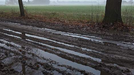 Beeld ter illustratie.