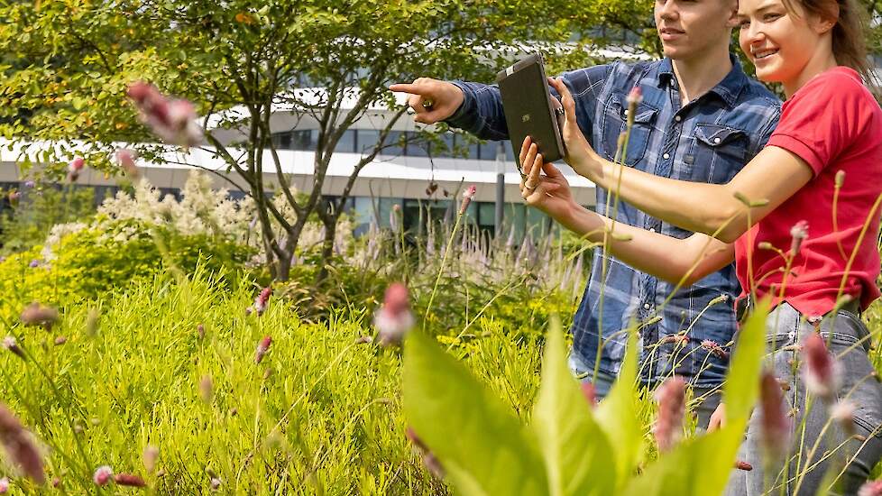 Open dagen en nieuwe opleiding Terra MBO Veldpost.nl Landbouwnieuws voor NoordNederland Open dagen en nieuwe opleiding Terra MBO Veldpost.nl Landbouwnieuws voor NoordNederland
