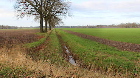 Groenblauwe dooradering is goed voor milieu, klimaat, natuur en waterkwaliteit, maar tast het areaal landbouwgrond en het verdienvermogen van de boer aan.