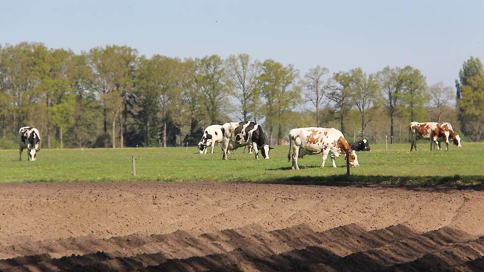 Beeld ter illustratie.