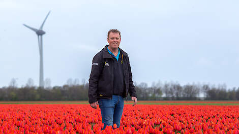 Jeroen Schutte schat dat ze in totaal 10 tot 20 procent minder zullen oogsten.