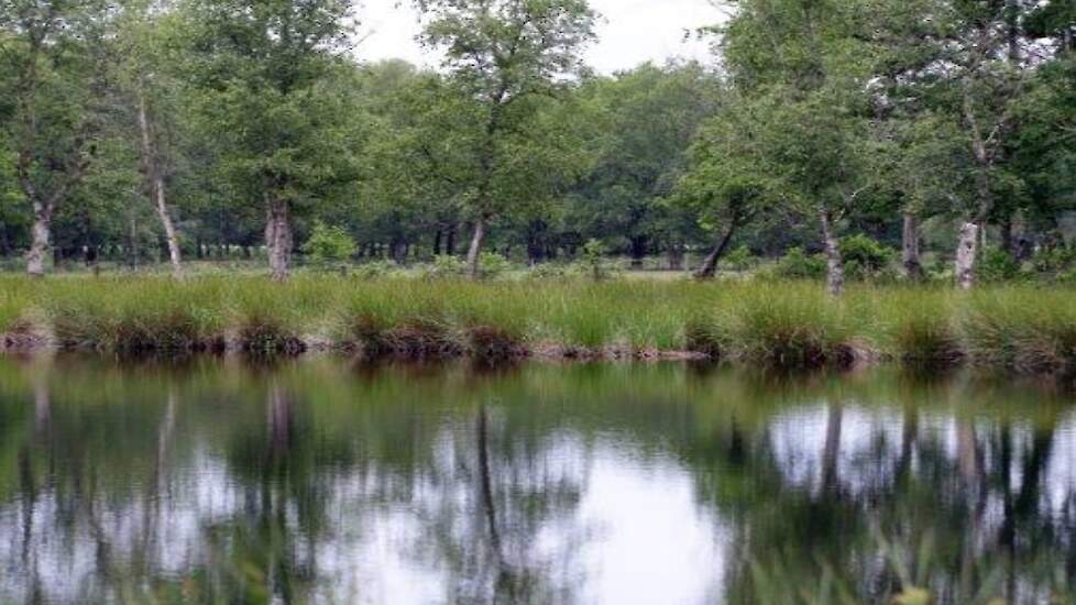 Drents landschap.