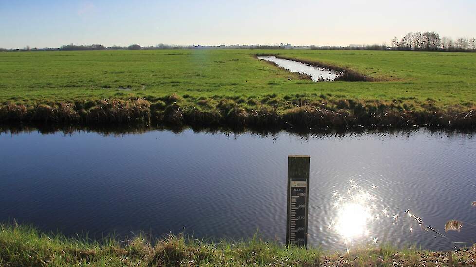 Onze Weidevogels › Herstel greppelland bij Stegenga-de Vries in Oudega