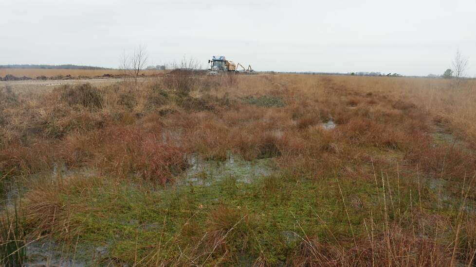 Fochteloerveen