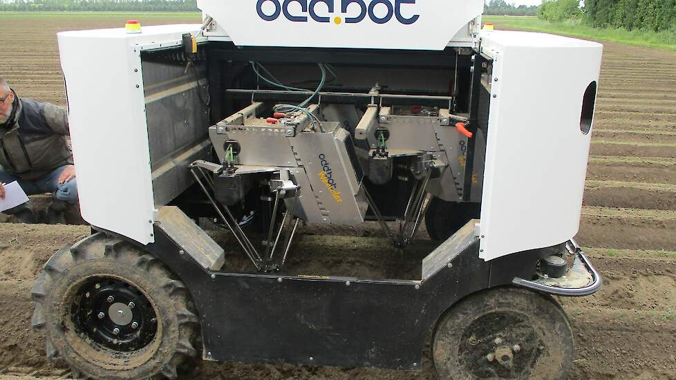 De Odd.Bot rijdt in de peen. De peen is op ruggen gezaaid en het onkruid wordt na herkenning mechanisch verwijderd. De navigatie is op visuele basis. De robot wordt bij voorkeur vroeg ingezet, groot onkruid wordt minder goed herkend en onkruid ontglipt aa