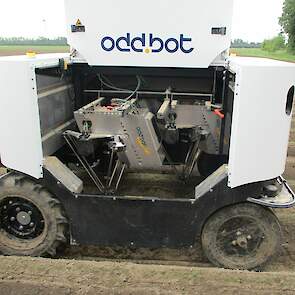 De Odd.Bot rijdt in de peen. De peen is op ruggen gezaaid en het onkruid wordt na herkenning mechanisch verwijderd. De navigatie is op visuele basis. De robot wordt bij voorkeur vroeg ingezet, groot onkruid wordt minder goed herkend en onkruid ontglipt aa