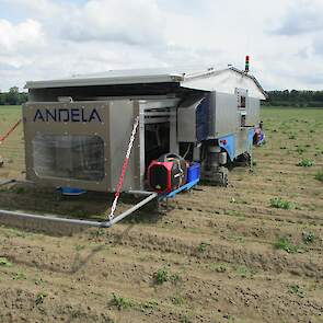 De Andela is aanzienlijk breder, de 9 meter brede wieder heeft 12 camera’s en 12 robotarmen. De camera’s onderscheiden onkruid van het gewas. Elke robotarm heeft een stift die het onkruidplantje vernietigd door middel van warmte. De snelheid van de machin