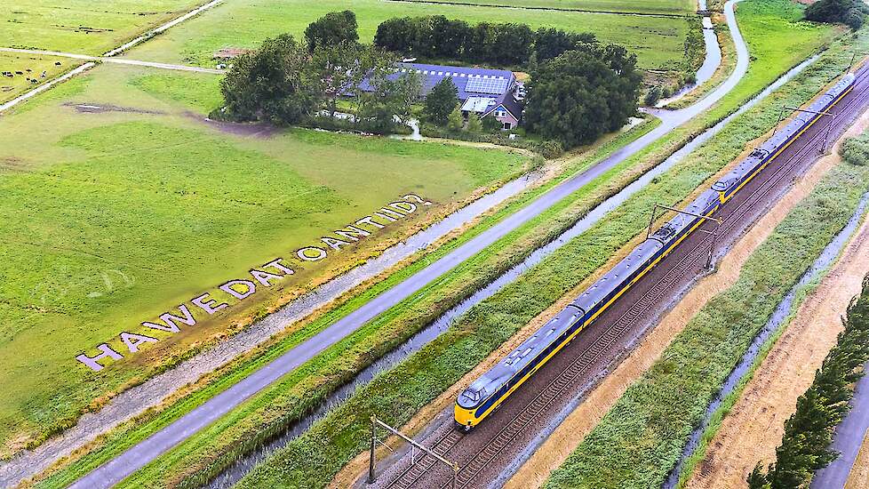 Loonwerker graaft mee aan kunstwerk in weiland bij Akkrum