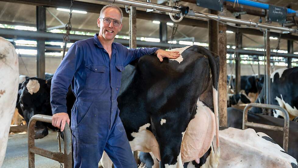 Video: Boerenkoeienveiling slot van 12,5 jaar melken in de Flevolandse polder