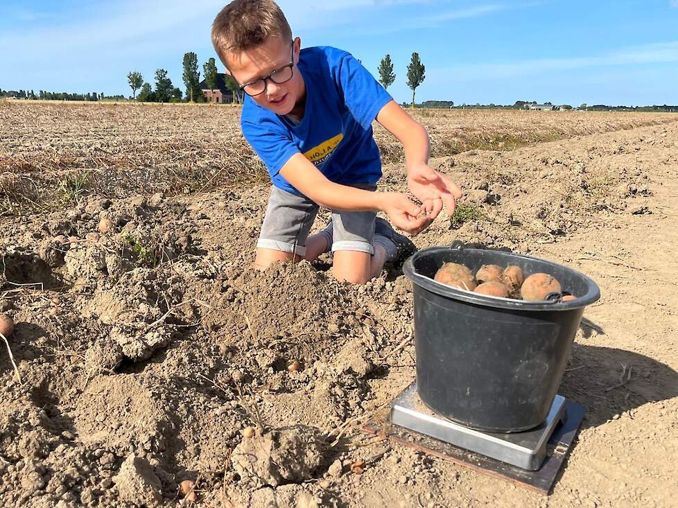 Winnaar NK aardappelrooien Jorrit Kooistra in actie.