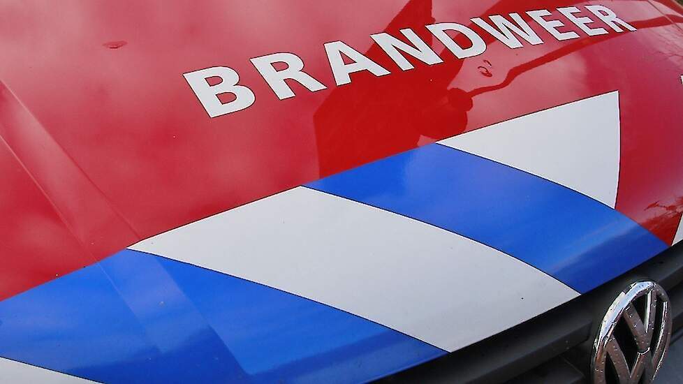 Tweehonderd koeien gered bij stalbrand melkveehouder Surhuizum