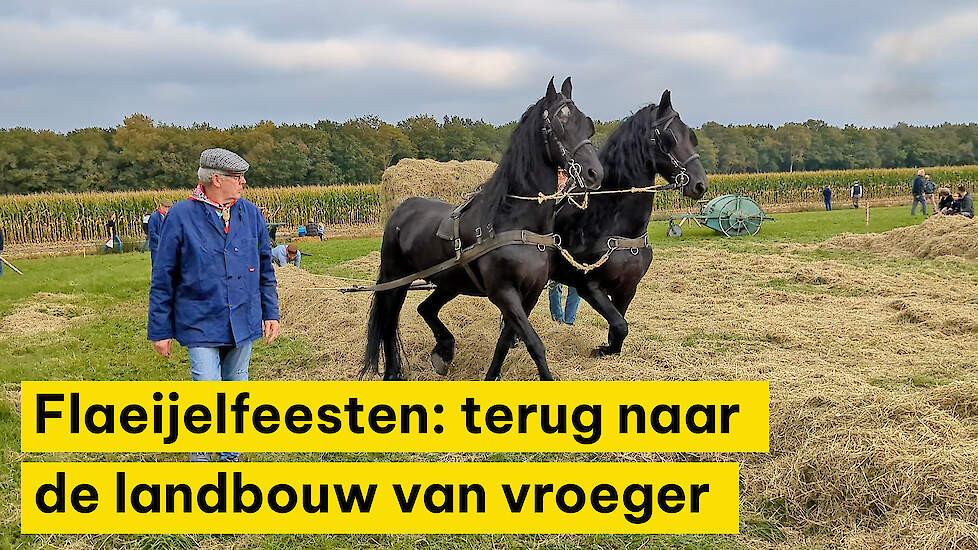 Flaeijelfeesten: Terug naar de landbouw van eeuw geleden