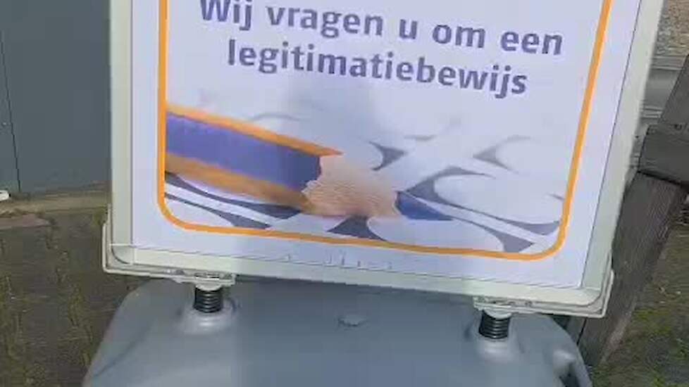 Varken Vetsy wijst de weg naar het stemhokje in Valthermond.