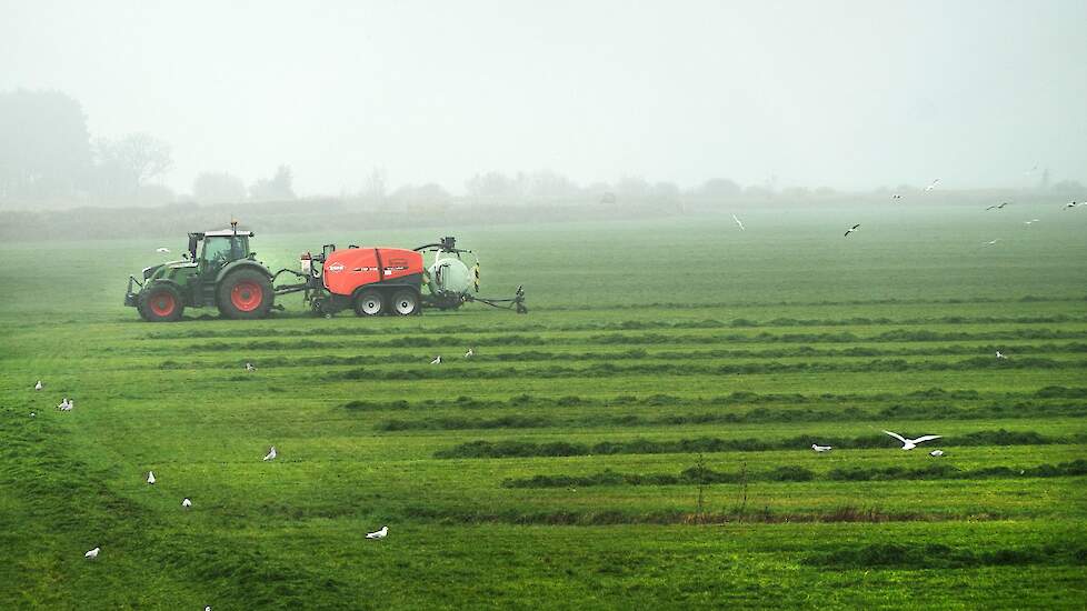 Fotoserie: Uitzonderlijk late grassnede in Friesland: 'Nog nooit zo laat, nog later dan in 1993'