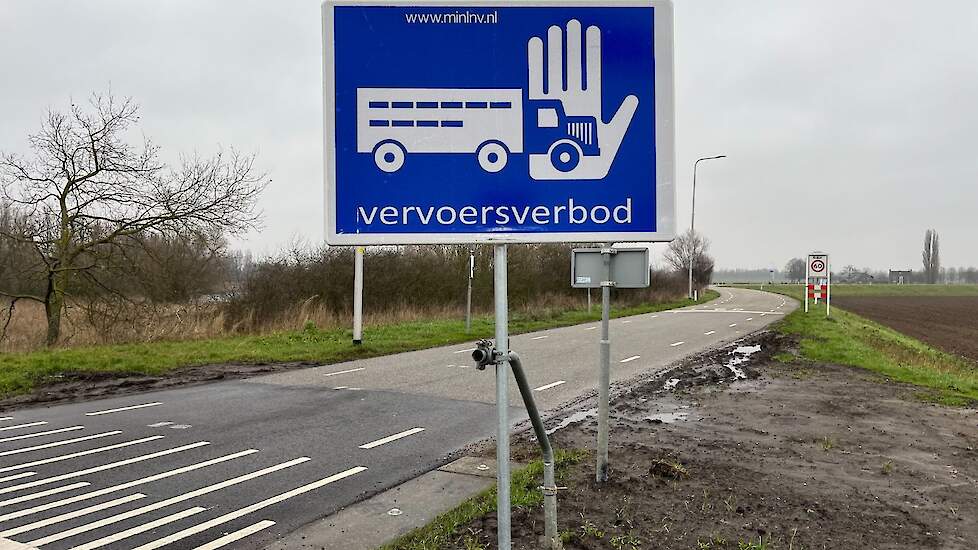 Vogelgriep op Gronings vleeskuikenbedrijf: vervoersverbod voor 29 pluimveebedrijven