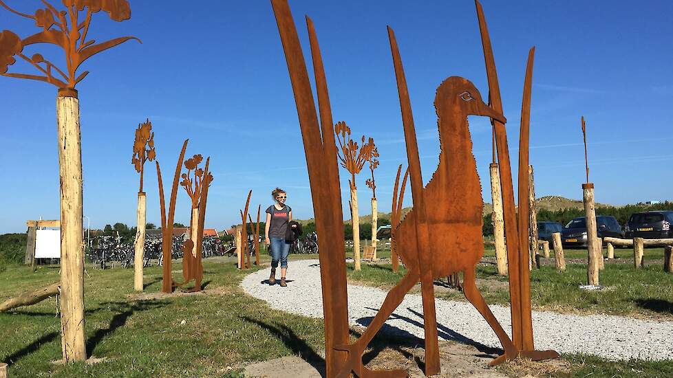 Het Gruttokuikenpad op Terschelling.