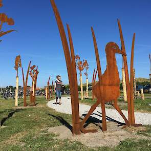 Het Gruttokuikenpad op Terschelling.