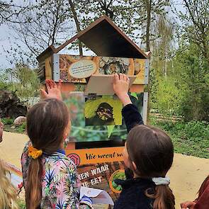 Een bijenflat op de Floriade.