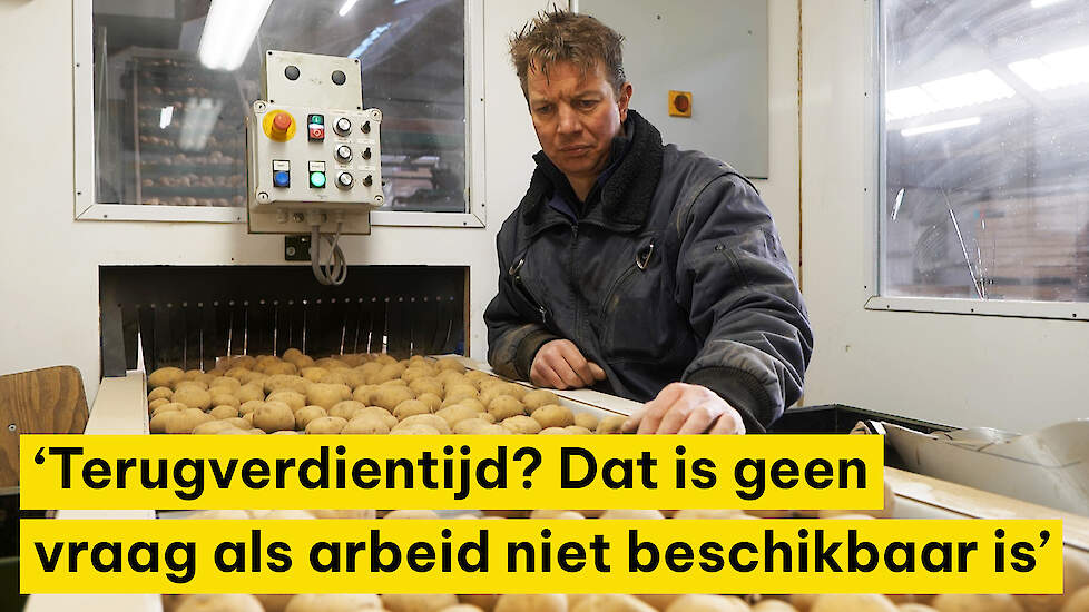 Optische sorteerder maakt Flevolandse pootgoedteler steeds flexibeler