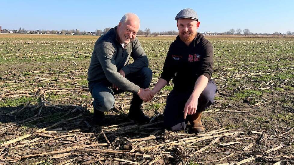 Onze Weidevogels › Eerste kievitsei van Friesland gevonden door Auke Tuinstra